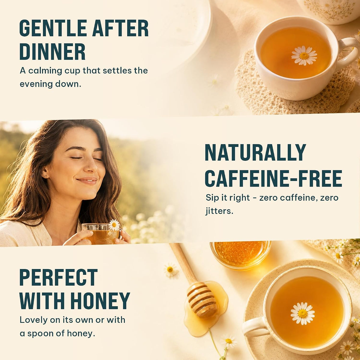 Organic Chamomile Tea — 100 Tea Bags | Organic Herbal Tea From Single Origin | Eco-Friendly Tea Bags | Non-GMO Caffeine Free Tea With Zero Sugar | Cederberg Tea Company