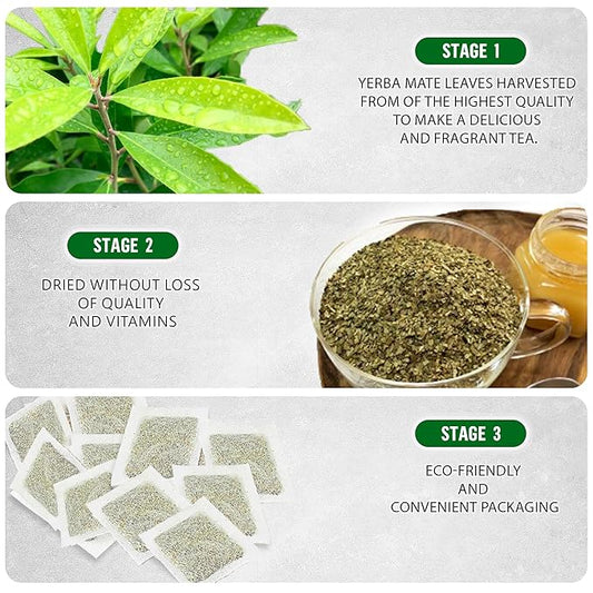 Yerba Mate Tea - Green Cut & Sifted - Unsmoked Energy Boost - 300 Tea Bags - Packed with Nutrients - Your Perfect Coffee Replacement