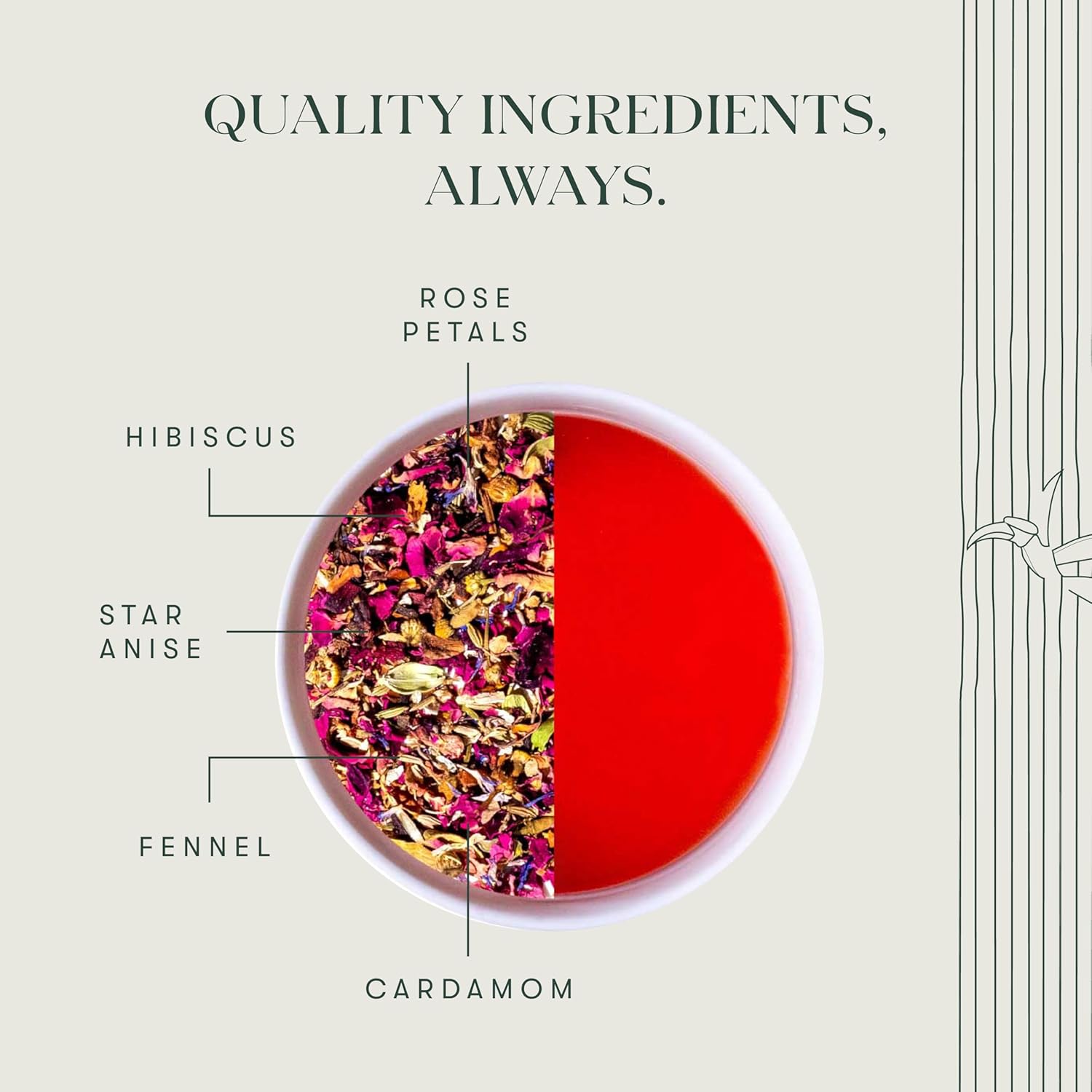 Luxmi Estates African Rose Organic Hibiscus Rose Tea (25 Tea Bags) Caffeine Free Tea Bags For Detox, Cleansing, and Digestion, With Certified Organic Herbal Tea | Direct From Source - Plant Based Biodegradable Tea Bags