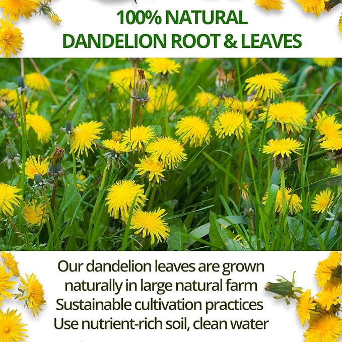 Vida Farm 125 Dandelion Tea Bags - 100% Natural Dandelion Leaf & Root, Sugar Free, Caffeine Free, Non-GMO - Premium Dandelion Root Herbal Tea