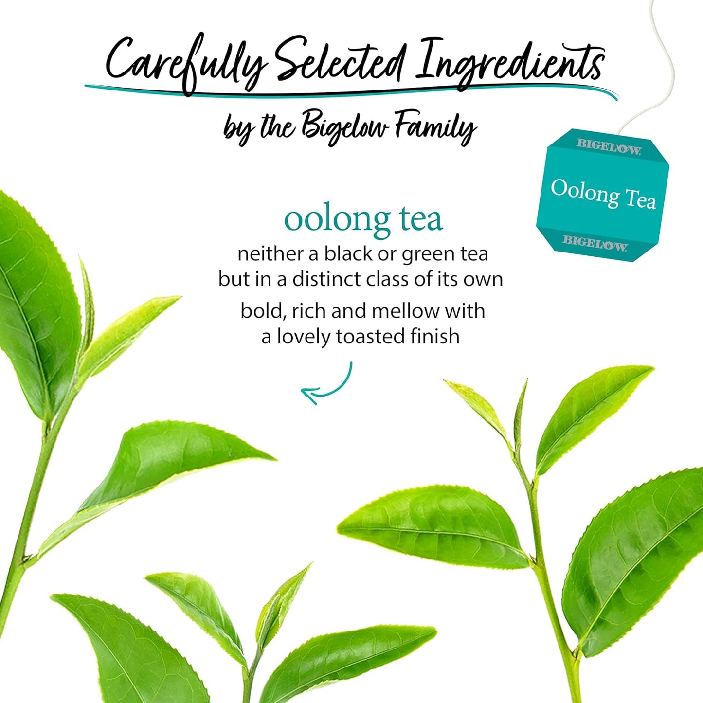 Bigelow Tea Oolong Tea, Caffeinated Tea with Fresh, Smooth Taste, 20 Count Box (Pack of 6), 120 Total Tea Bags