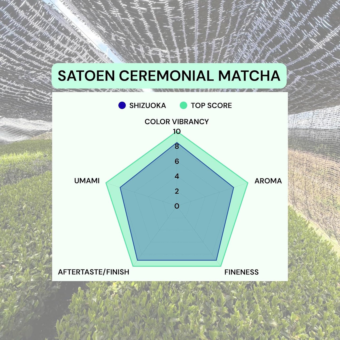 Satoen Authentic Japanese Ceremonial Grade Matcha Powder - Ceremonial Matcha Green Tea Powder from 100% Spring Premium First Harvest - Crafted for Matcha Straight Tea (100g) | 3.5 oz, Lattes, Smoothies, Baking, First Harvest, Stone Ground, Vibrant Green C