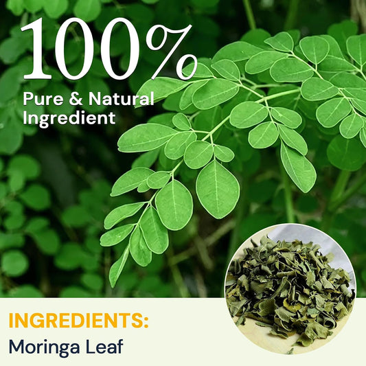 Moringa Leaf Tea - Caffeine Free, 100 Teabags