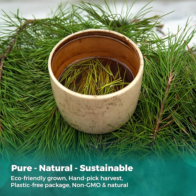 USA Fresh White Pine Needle Tea – 100% Pure Wild-Harvested USA Pine Needles, Fresh Aromatic Herbal Tea, No Additives, Premium Loose Leaf