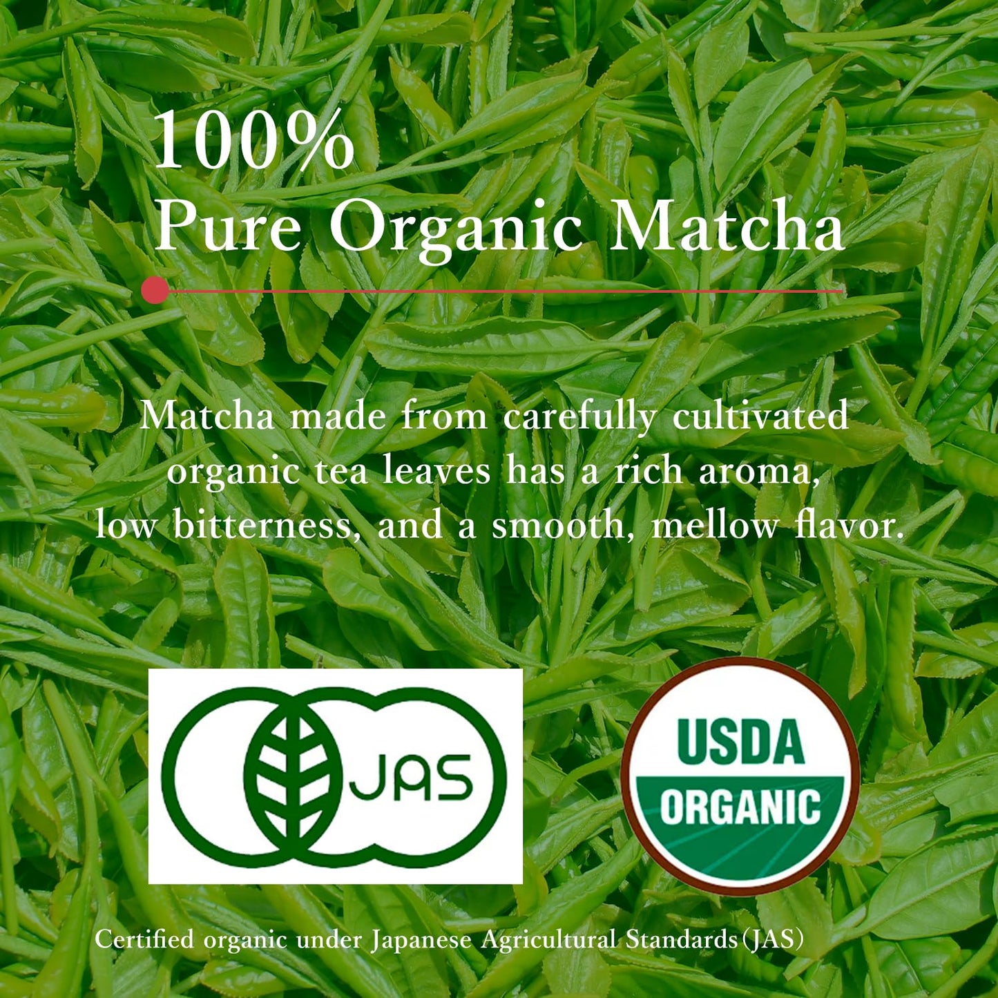 MIKAN-YAMA ZEN GREEN Organic Matcha Powder, 100% Authentic Japanese Ceremonial Grade, Single Origin from Shizuoka Japan, 40g (1.41oz) - Saemidori Cultivar – (Organic Ceremonial 1.41oz (Pack of 1)Tin)