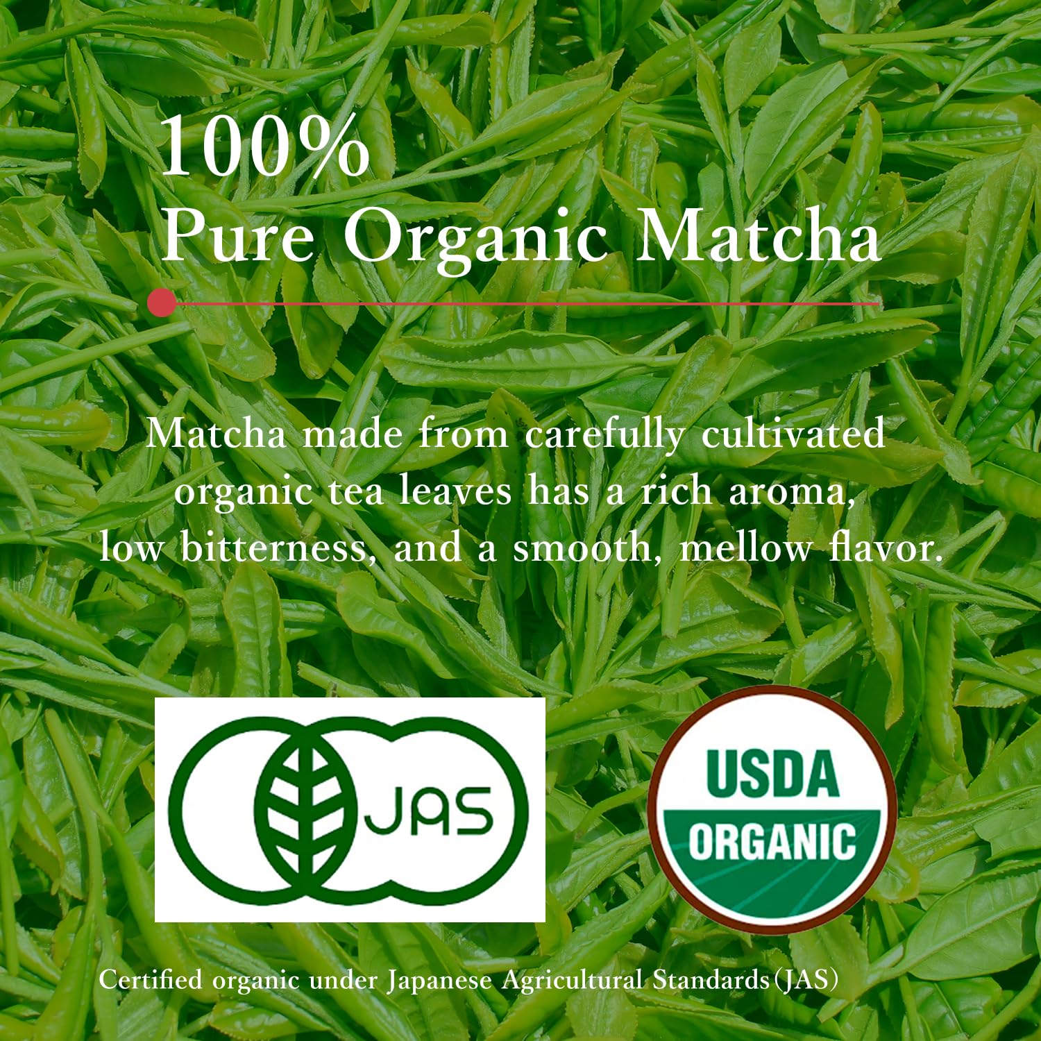 MIKAN-YAMA ZEN GREEN Organic Matcha Powder, 100% Authentic Japanese Ceremonial Grade, Single Origin from Shizuoka Japan, 40g (1.41oz) - Saemidori Cultivar – (Organic Ceremonial 1.41oz (Pack of 1)Tin)
