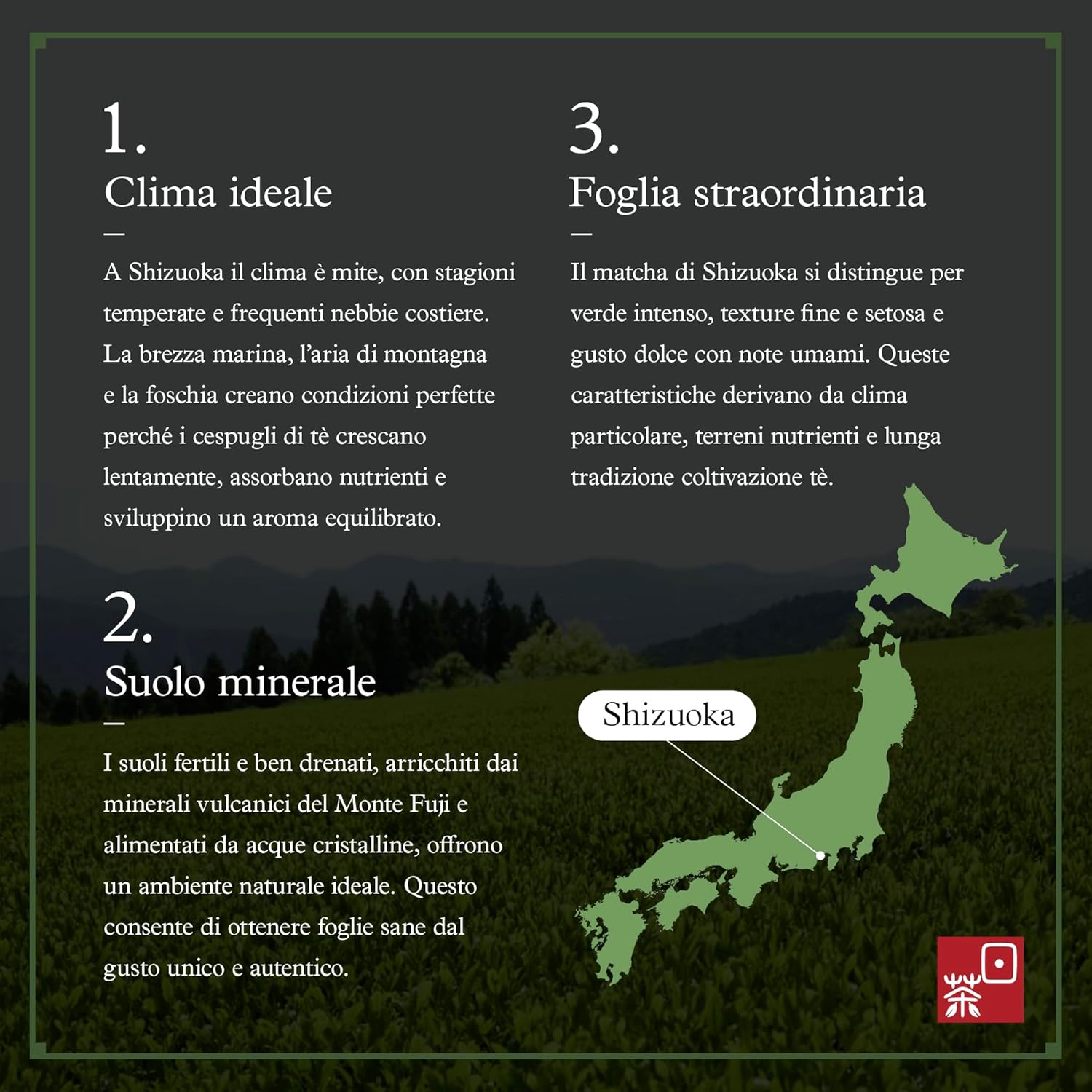Ocha & Co. Itsumo Matcha - Classic Grade - Japanese First-Harvest Matcha Green Tea Powder - Traditionally Stone-Milled, 100g.