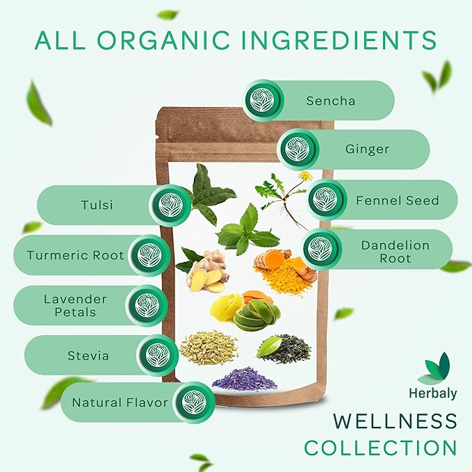 Herbaly Wellness Collection Organic Herbal Ginger Tea, 70 g, 28 Count Bag