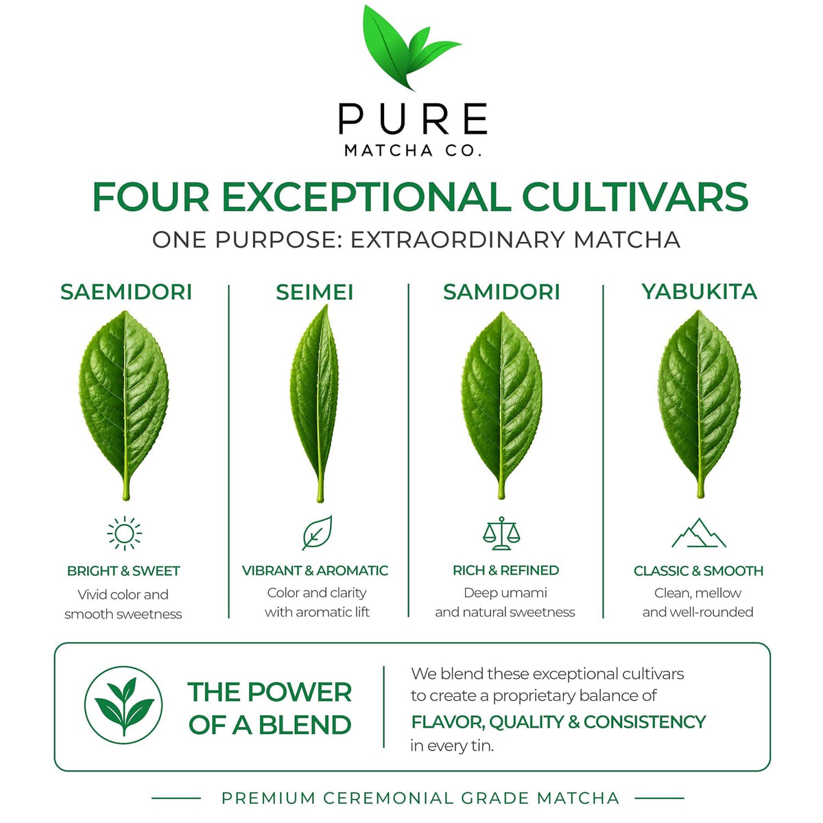 Pure Matcha Co | Premium Ceremonial Grade Matcha Green Tea Powder | Authentic Japanese Origin | Sugar Free | 30g, 1.06oz