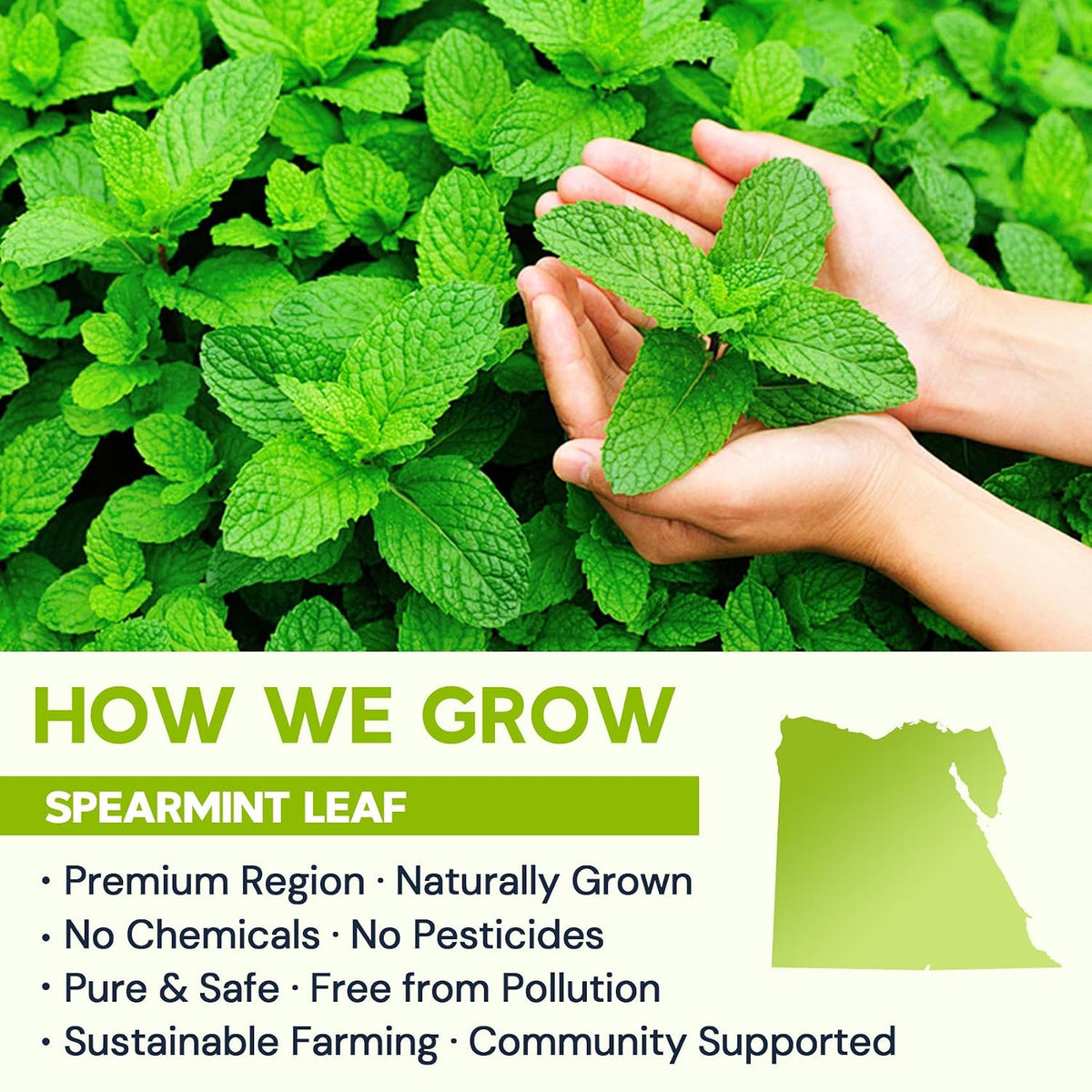 Spearmint Leaf Tea - Caffeine Free