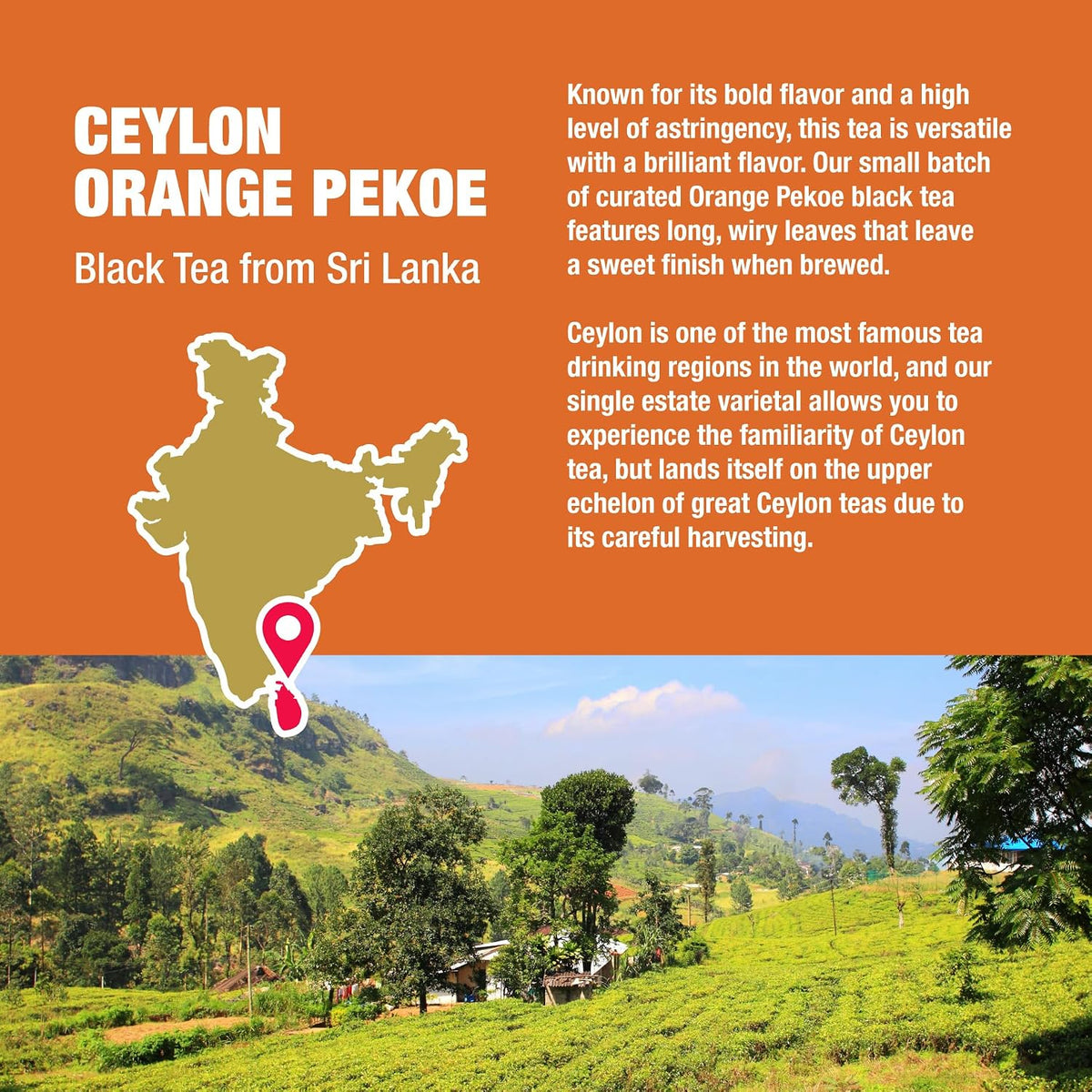 Ceylon Orange Pekoe Black Tea Loose Leaf, Sri Lanka Single Origin, 3oz