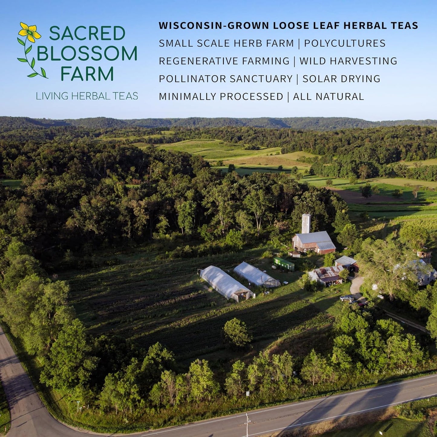 Sacred Blossom Farm Herbal Tea | Box of Flavor Set | 4 Top Selling Flavors | Farm Direct | Loose Leaf Tea | All Natural & Sustainably Grown in USA | Caffeine Free | 100+ Servings