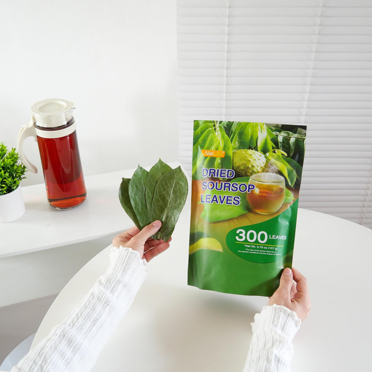 NalLife Soursop Leaves Tea - 300 Dried Whole Leaves for Tea