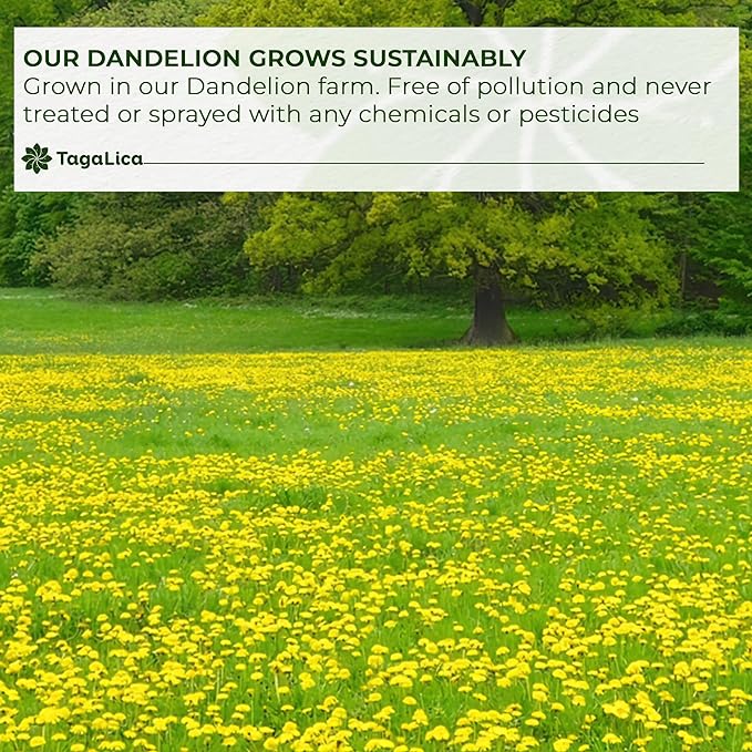 Tagalica, Premium 135 Dandelion Root Tea Bags, 100% Natural & Pure from Dandelion Root, Eco-Conscious Tea Bags, Herbal Tea. No Sugar, No Caffeine