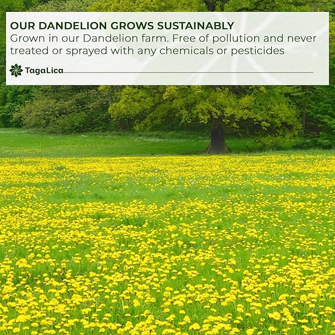 TagalicaTa Premium 55 Dandelion Root Tea Bags, 100% Natural & Pure from Dandelion Root, Eco-Conscious Tea Bags, Herbal Tea. No Sugar, No Caffeine