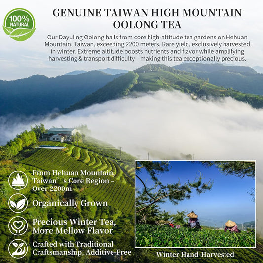 CHADUO Dayuling Oolong Tea Loose Leaf Taiwan High Mountain Oolong Tea Natural Orchid Aroma Taiwan Tea Da Yu Ling Gaoshan Ulong 5.29oz/150g 大禹岭 台湾茶 高山茶 台湾高山茶