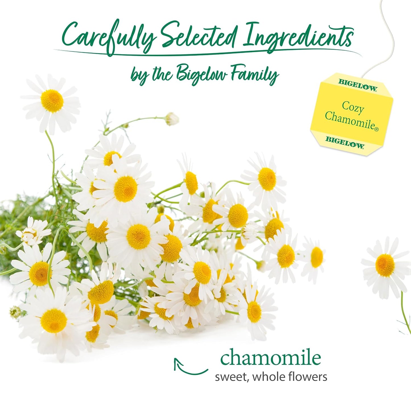 Bigelow Cozy Chamomile Herbal Tea,Caffeine Free Tea with Chamomile Flowers, 100 Count Box (Pack of 1)