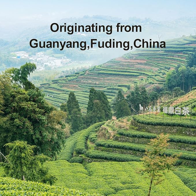 BAMATEA Shoumei Aged 2017 White Tea Loose Leaf 100g (3.53oz) - Chinese White Tea Leaves - 20pcs Individually Wrapped, with Unique Aroma, Rich in Flavor