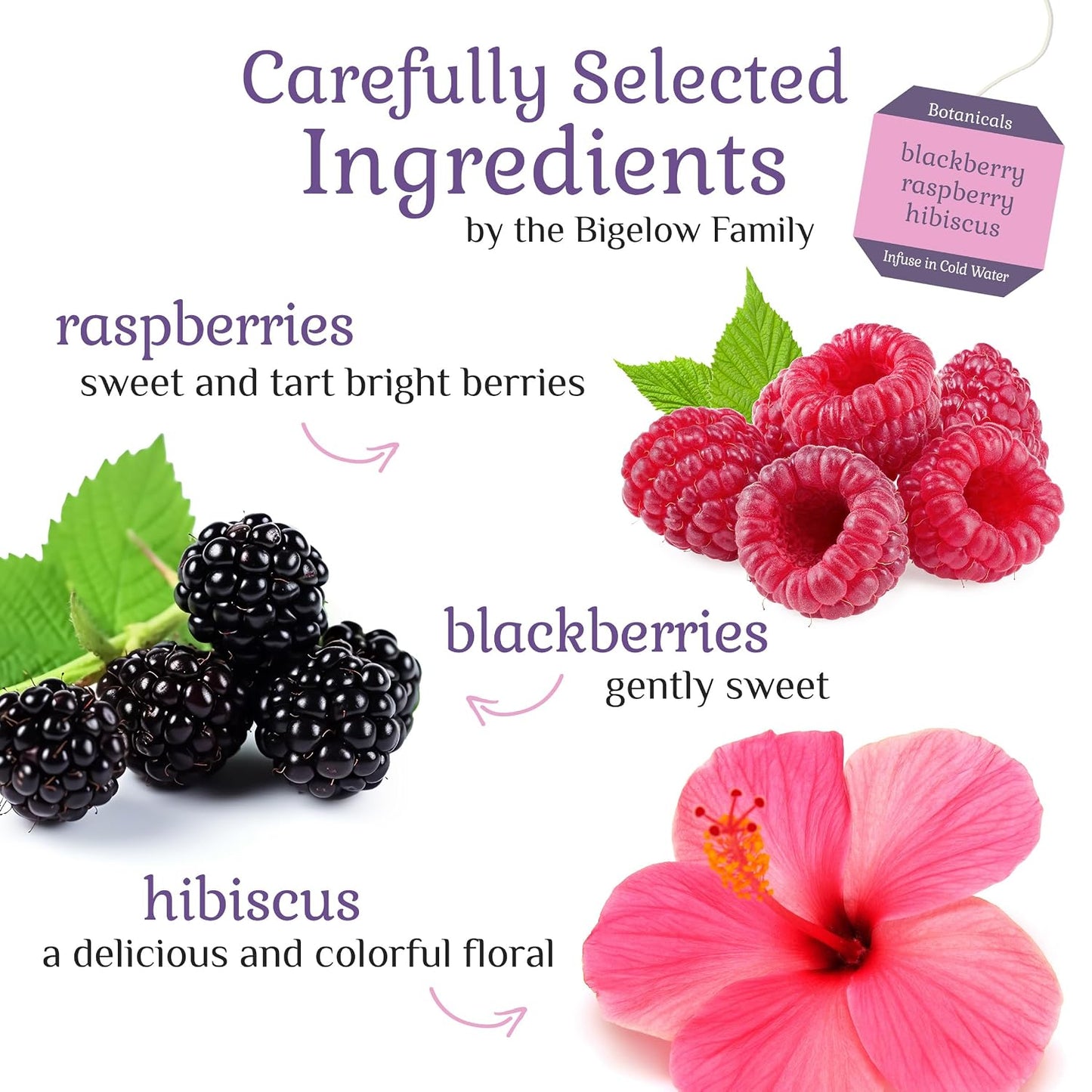 Bigelow Tea Botanicals Blackberry Raspberry Hibiscus Cold Water Infusion | Caffeine Free Tea with Blackberry and Raspberry Flavor, 18 Count (Pack of 6), 108 Total Tea Bags