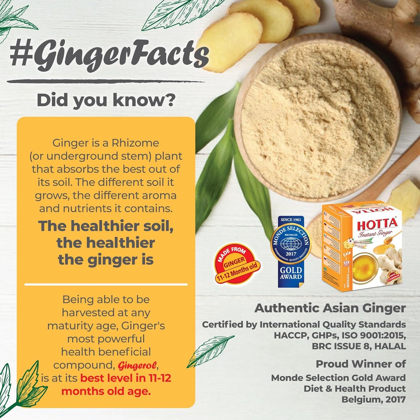 HOTTA Instant Ginger Drink with Manuka Honey, Naturally Sweet, Caffeine-Free Herbal Tea, High in Vitamin B1, B2 & B6, Smooth & Comforting, Enjoy Hot or Cold, 12 Sachets