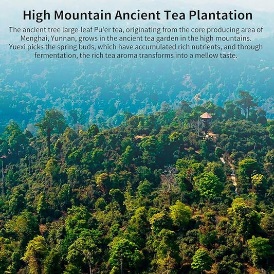 Yuexi Pu erh Tea Cake Ripe Pu-erh Tea 12.6 oz/357g Aged Puerh Black Tea Yunnan Pu'er 普洱茶 熟茶 茶饼 宫廷普洱茶