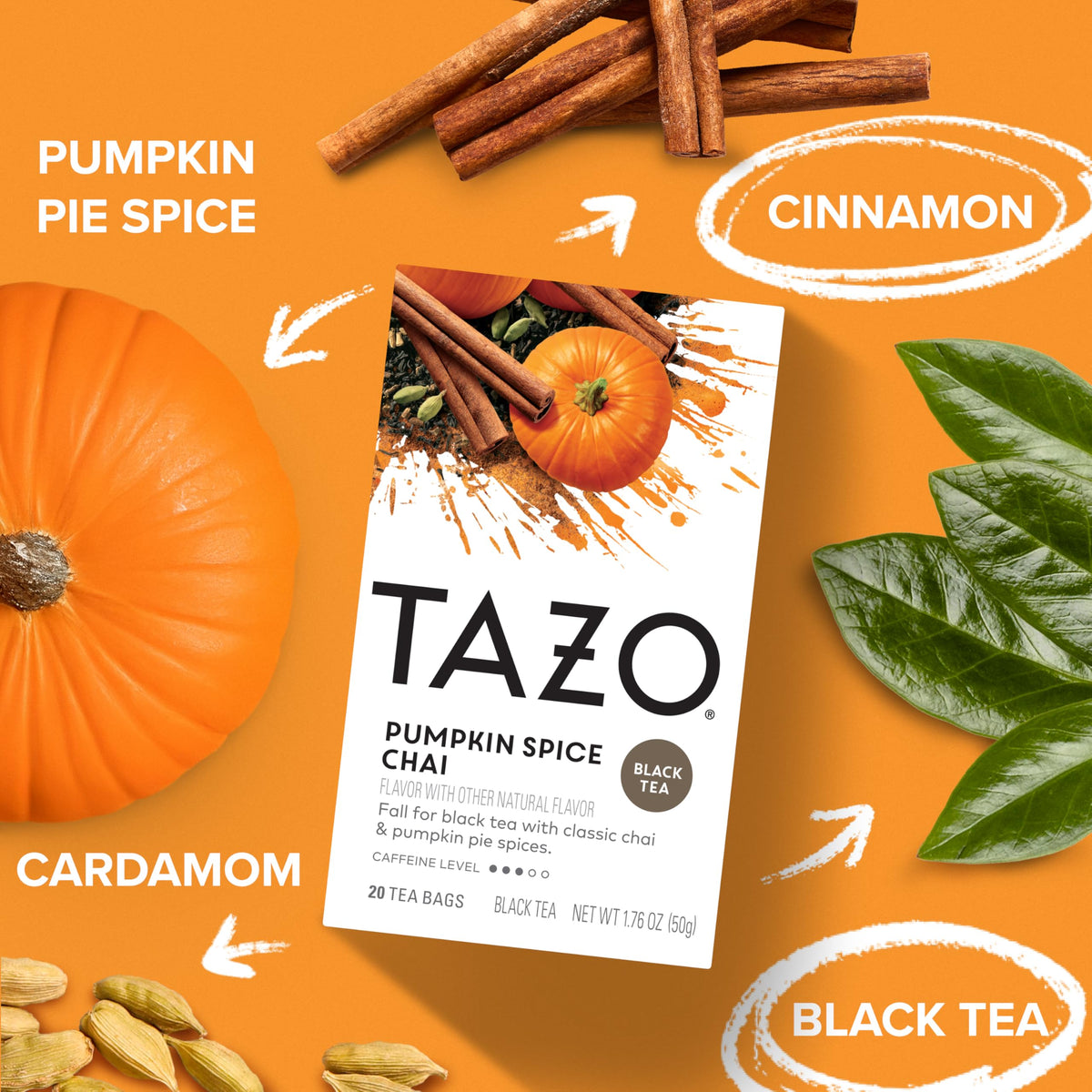 TAZO Pumpkin Spice Chai Tea Bags, Black Tea, Holiday Gift For Tea Lovers, 20ct (6pk)