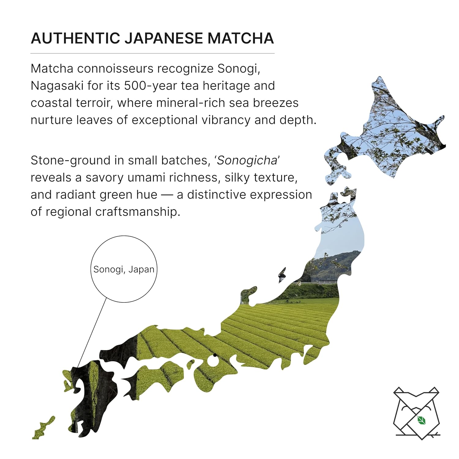 FKRO Ceremonial Reserve Matcha Samidori | 1st Harvest, Stone-Ground, Single Origin, Single Cultivar | Flown Fresh Monthly from Japan (30g/1.06oz) Tin