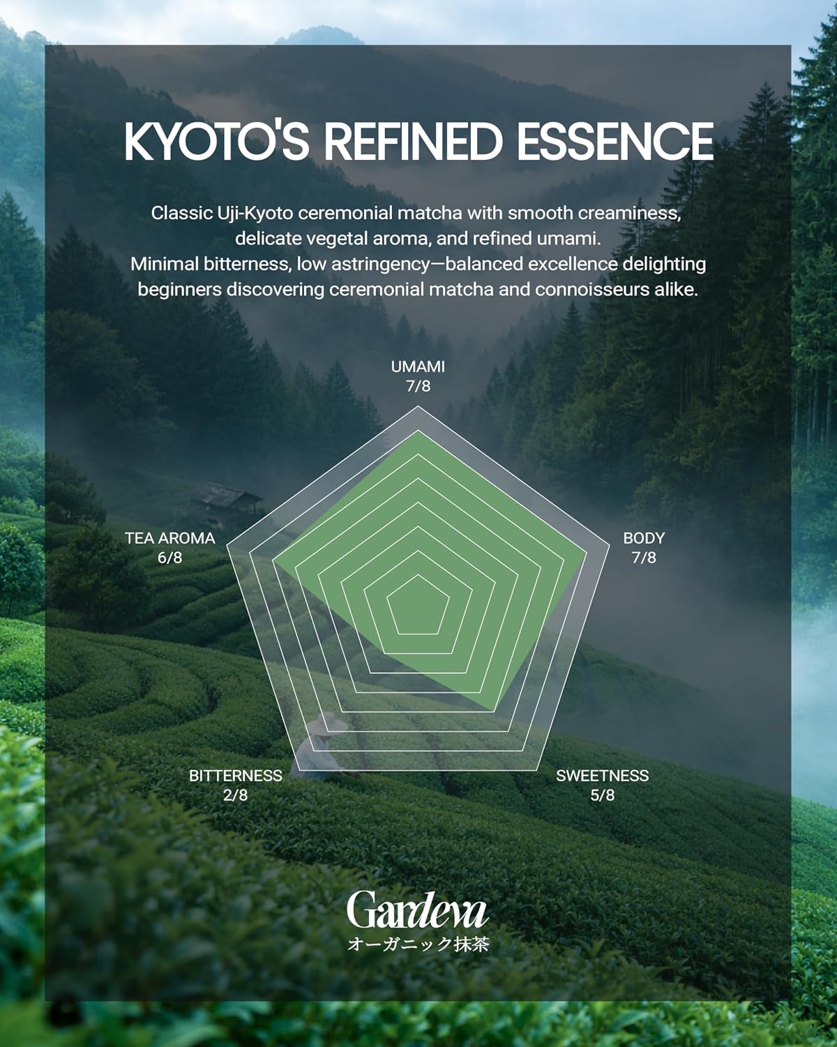 Gardeva Organic Japanese Ceremonial Grade Matcha - 100% Pure Green Tea Powder, USDA Certified, First Harvest, Authentic Origin From Uji, Kyoto (40g / 1.4oz Tin)