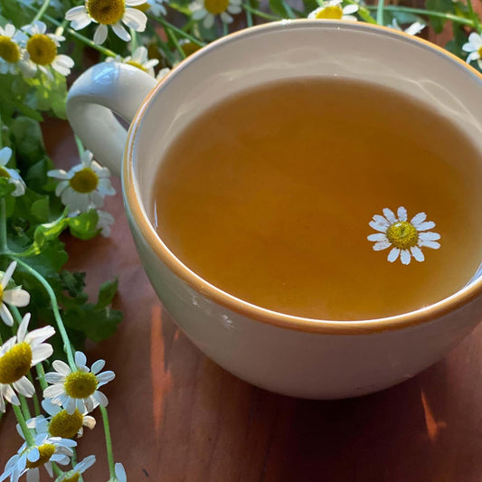 Bigelow Cozy Chamomile Herbal Tea,Caffeine Free Tea with Chamomile Flowers, 100 Count Box (Pack of 1)