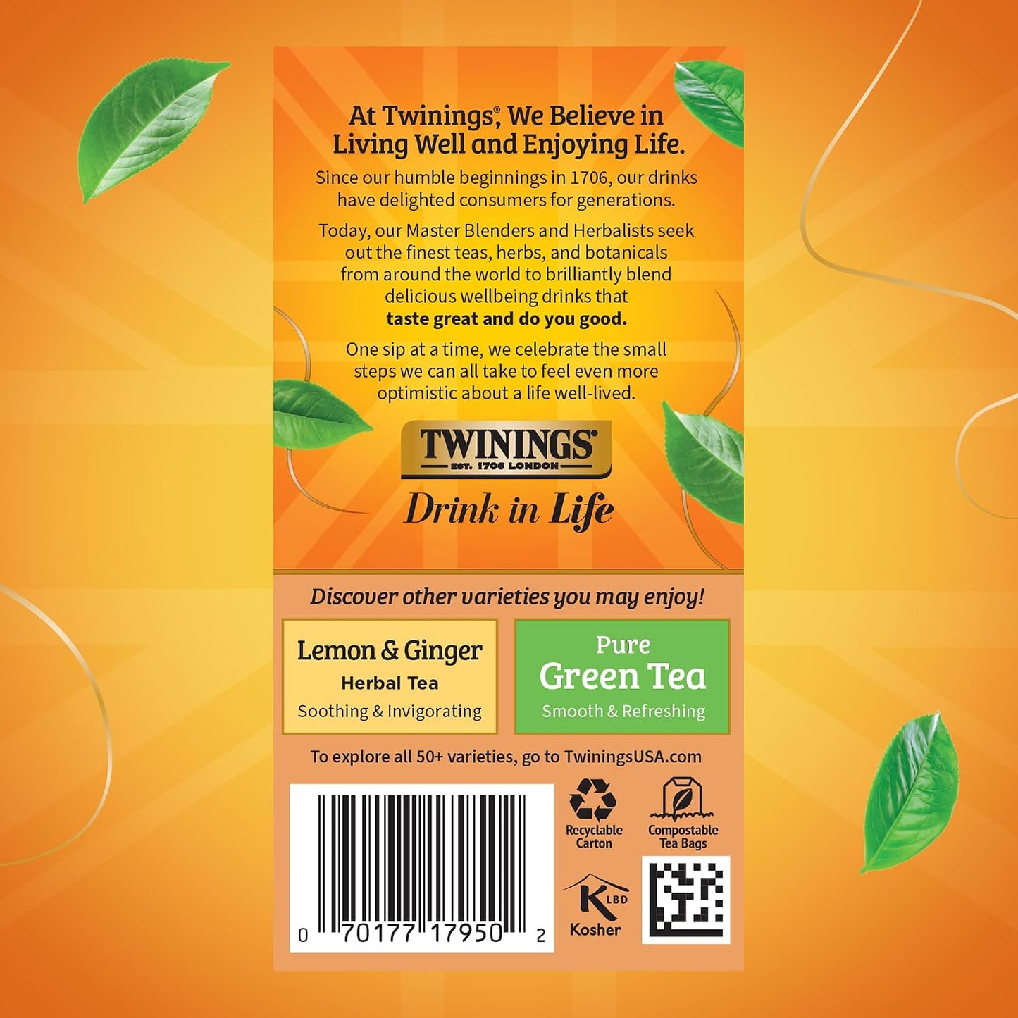 Twinings Orange &amp; Cinnamon Spice Herbal Tea Bags, 20 CT Box (6 Pack) | Rooibos with Citrusy, Soothing Spices, Naturally Caffeine-Free, 120 Foil Lined Individually Wrapped Bags, Enjoy Hot or Iced