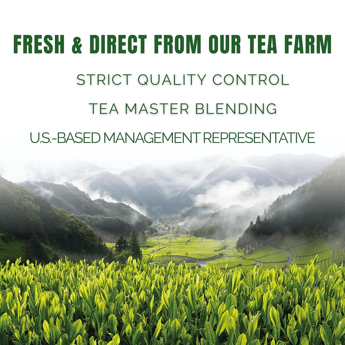 Satoen Authentic Japanese Ceremonial Grade Matcha Powder - Ceremonial Matcha Green Tea Powder from 100% Spring Premium First Harvest - Crafted for Matcha Straight Tea (100g) | 3.5 oz, Lattes, Smoothies, Baking, First Harvest, Stone Ground, Vibrant Green C