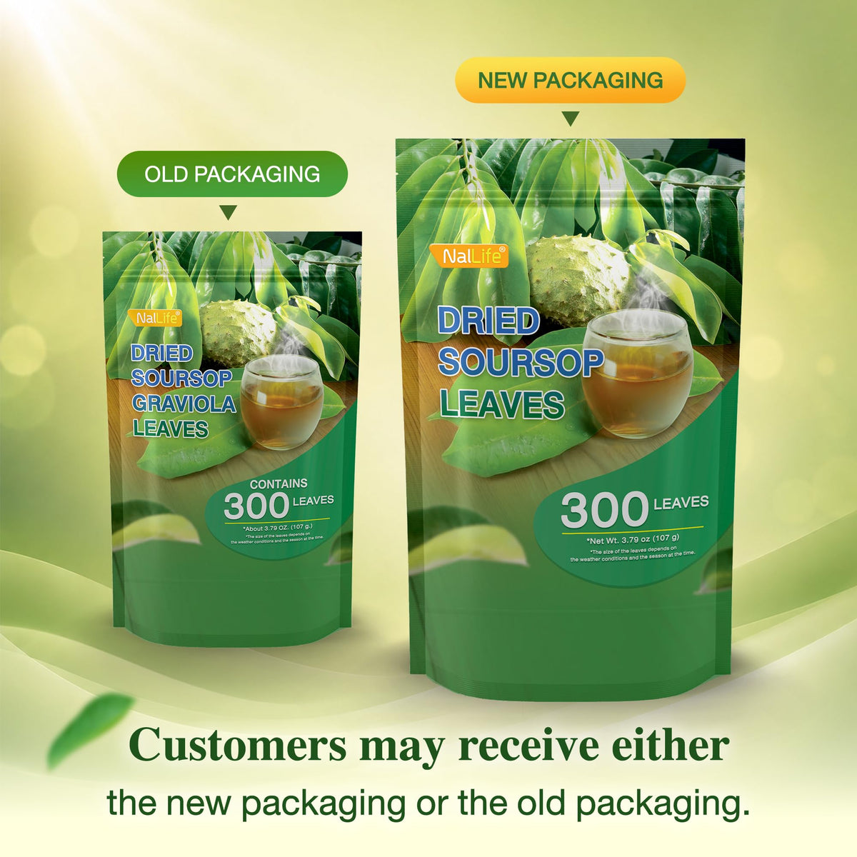 NalLife Soursop Leaves Tea - 300 Dried Whole Leaves for Tea