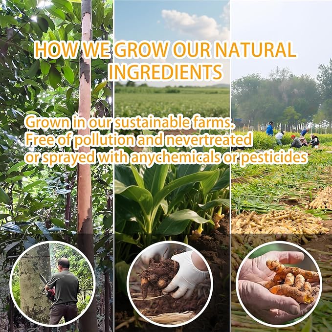 120 Bags Premium Turmeric Ginger Cinnamon Tea, Improve Digestion, Support Brain, Weight, Skin and Sleep, Eco-Conscious Tea Bags and Premium Natural Ingredients. Turmeric Ginger Herbal Tea. No Sugar, No Caffeine, No Gluten, Vegan.