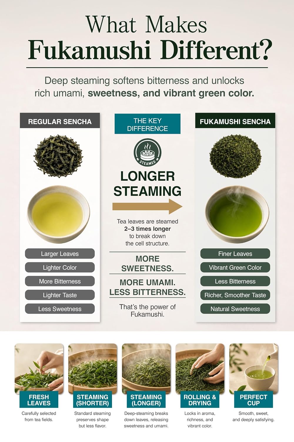 Fukamushi Sencha "Platinum Edition" – Japanese Loose Leaf Green Tea, 100-Year Legacy, First Flush, Deep Steamed, Roasted by Tea Masters, Loose Leaf, from Chiran Kagoshima, 3.5 oz / 100g – KAZAEMON Tea