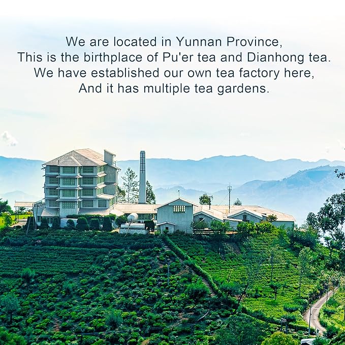 XIHETANK Black Tea Bags - 100 Count Individually Wrapped for Fresh & Smooth Taste. Ancient Tree Chinese Black Tea for Hot or Iced Brewing. Bulk Sweetness & 100% Natural Breakfast Tea Bags.