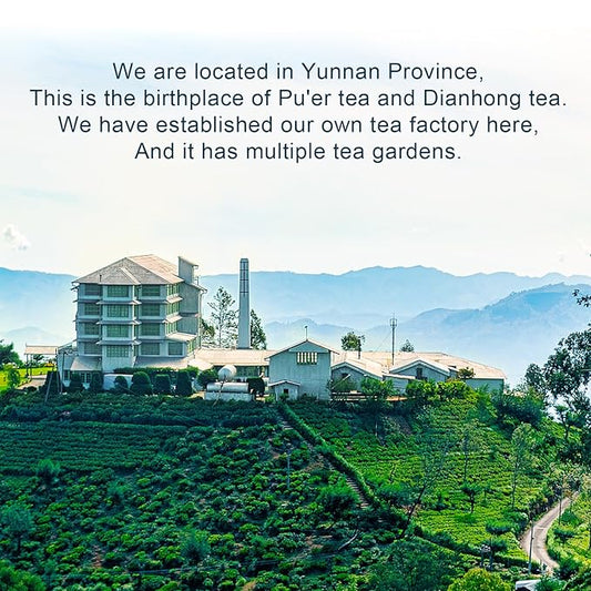 XIHETANK Black Tea Bags - 100 Count Individually Wrapped for Fresh & Smooth Taste. Ancient Tree Chinese Black Tea for Hot or Iced Brewing. Bulk Sweetness & 100% Natural Breakfast Tea Bags.