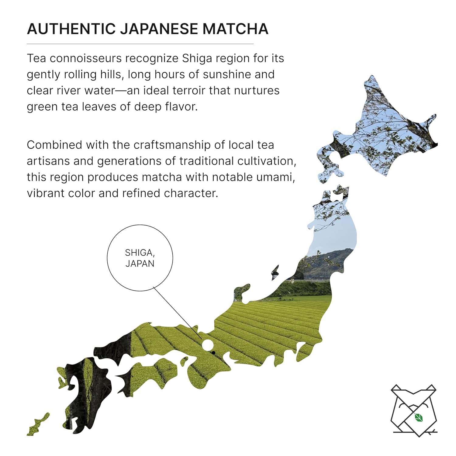 FKRO Ceremonial Reserve Matcha Tsuchiyama | 1st Harvest, Stone-Ground, Single Cultivar, Single Origin | Flown Fresh Monthly from Japan (30g/1.06oz) Tin