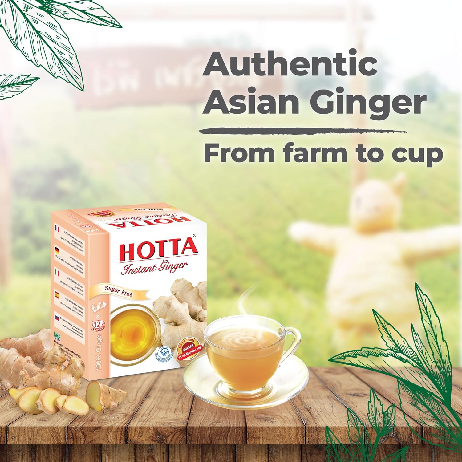 HOTTA Instant 100% Ginger Drink Powder, No Sugar, Bold & Spicy, Caffeine-Free Herbal Tea, Easy to Brew, Enjoy Hot or Cold, Real Thai Ginger, 12 Sachets