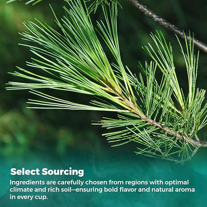 USA Fresh White Pine Needle Tea – 100% Pure Wild-Harvested USA Pine Needles, Fresh Aromatic Herbal Tea, No Additives, Premium Loose Leaf