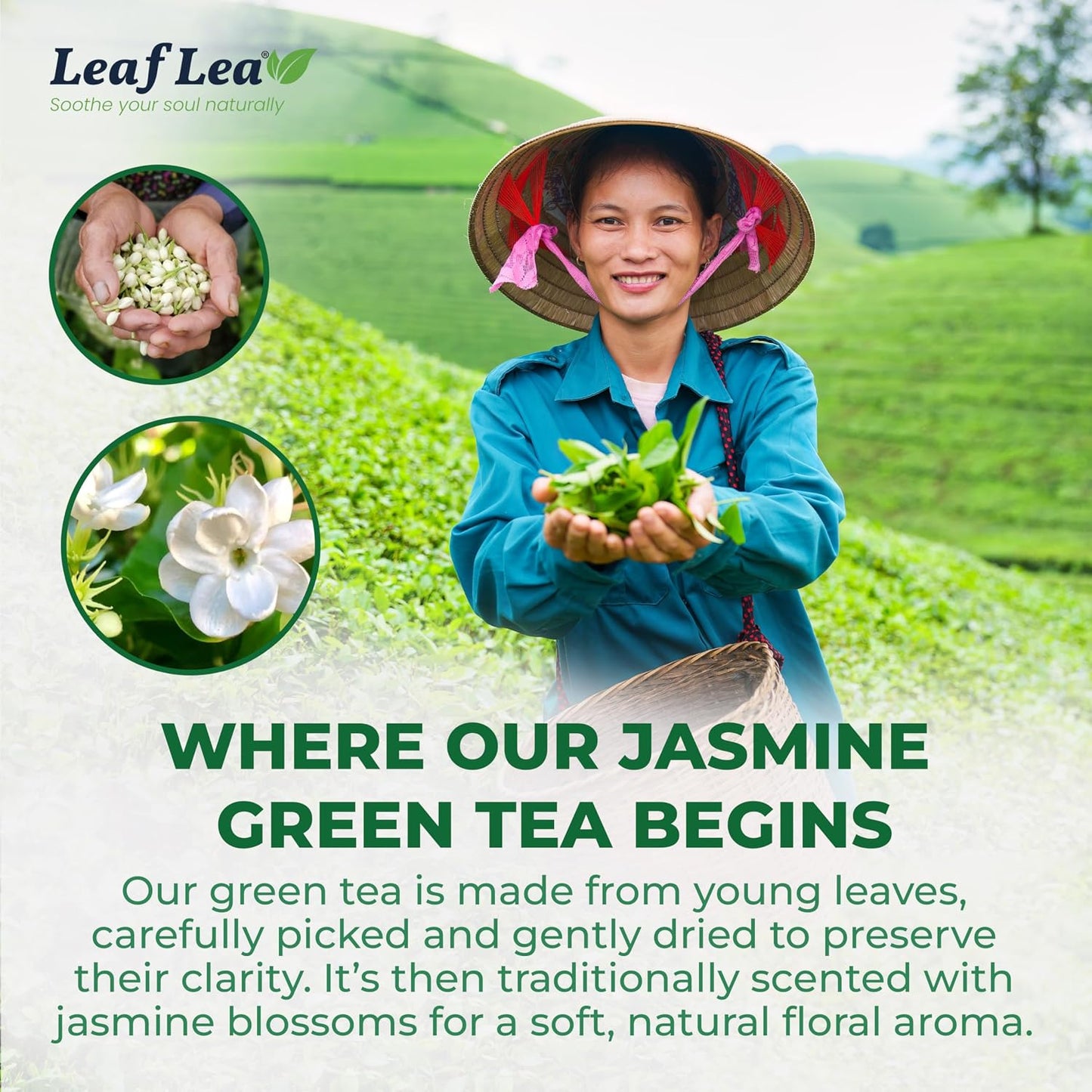 LeafLea Jasmine Green Tea Bags, Light Focus &amp; Daily Balance, 80 Count | Green Tea Naturally Scented With Jasmine, Delicate Floral Taste, Caffeinated, Sugar-Free, Vegan, Individually Wrapped