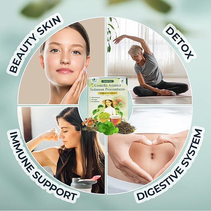 Nmpt Dried Centella Asiatica Solanum Procumbens Tea, Handpicked and Handmade, 40 Sachets, Cold-Dried, Gluten-Free, No Added Sugar, Mild Sweet Flavor