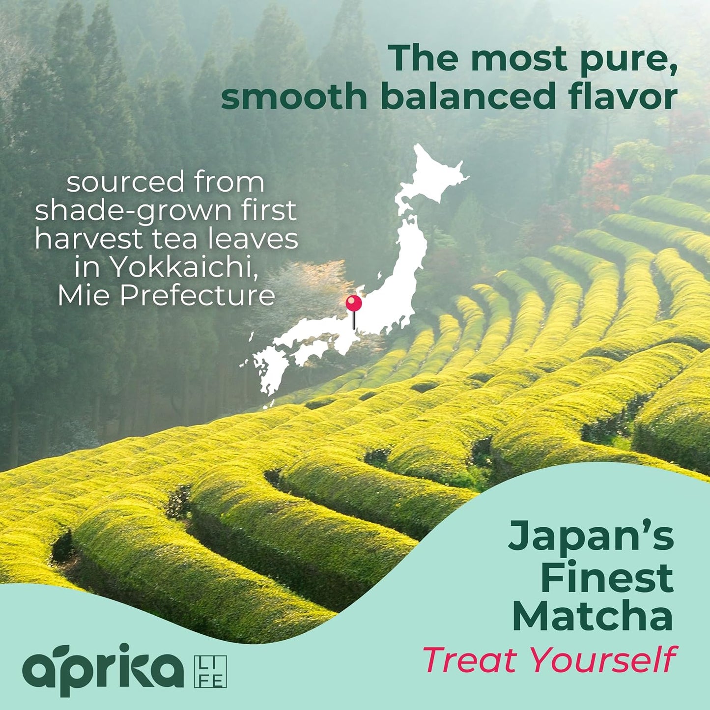 AprikaLife Organic Ceremonial Grade Matcha Powder from Japan – 3.5 oz | Authentic Japanese First Harvest Matcha, Yabukita Cultivar. No Sugar Added. USDA &amp; JAS Certified Organic. For Tea &amp; Lattes.