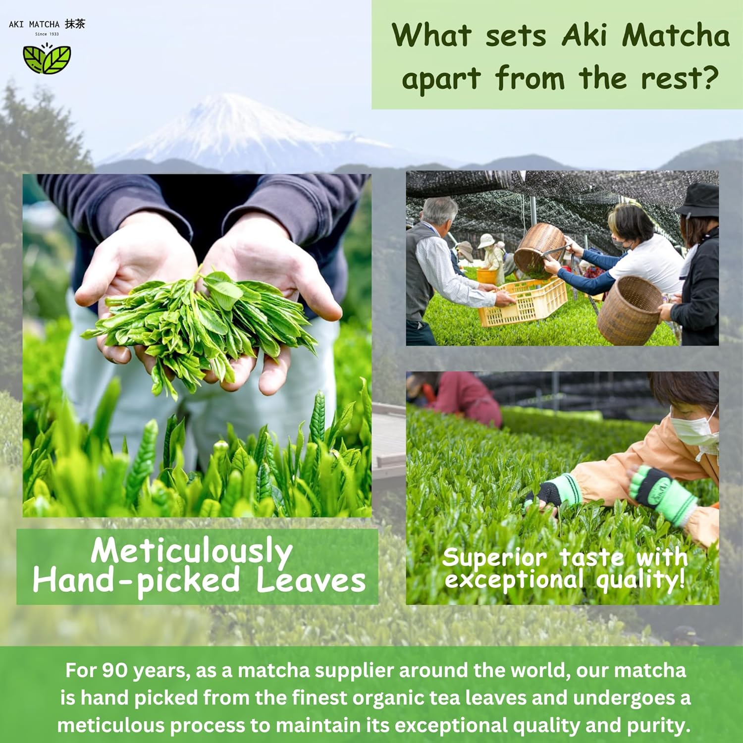 AKI MATCHA 1933 - Ceremonial Grade Matcha | Japanese Pure Matcha Powder 100% | Single Origin - Shizuoka Japan | Saemidori Cultivar | First Harvest Hand picked matcha Stone milled | Size 50g - 25serv