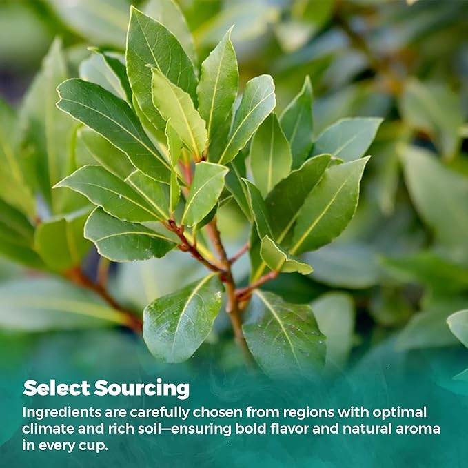 USA Fresh Bay Leaves Tea – 100% Pure, Wild-Harvested Herbal Loose Leaf Tea, Refreshing Forest Aroma, Caffeine-Free