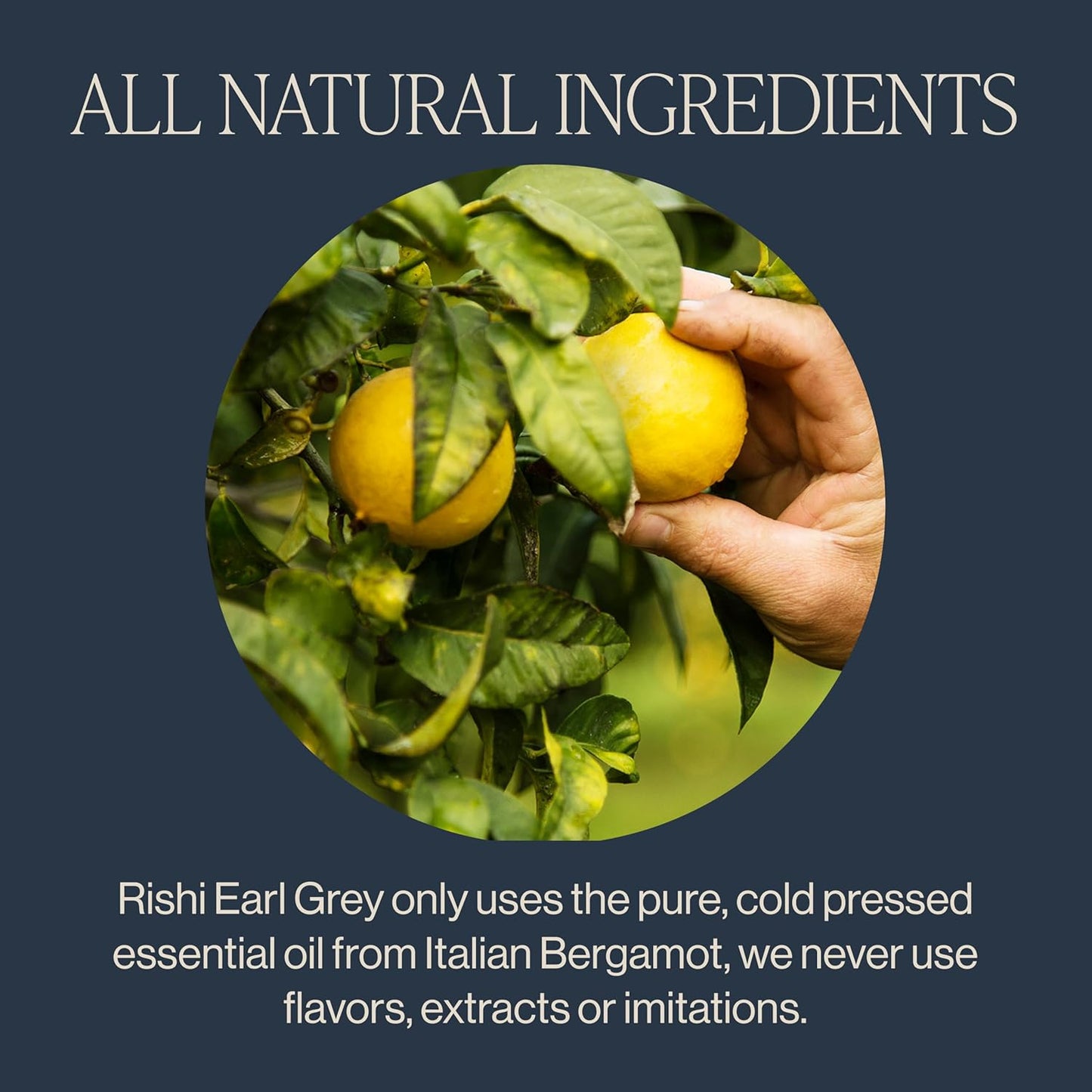 Rishi Tea Earl Grey Tea - Organic Loose Leaf Pure Black Tea with Bergamot Oil, Energizing & Caffeinated - 4 Ounces, 12+ Servings