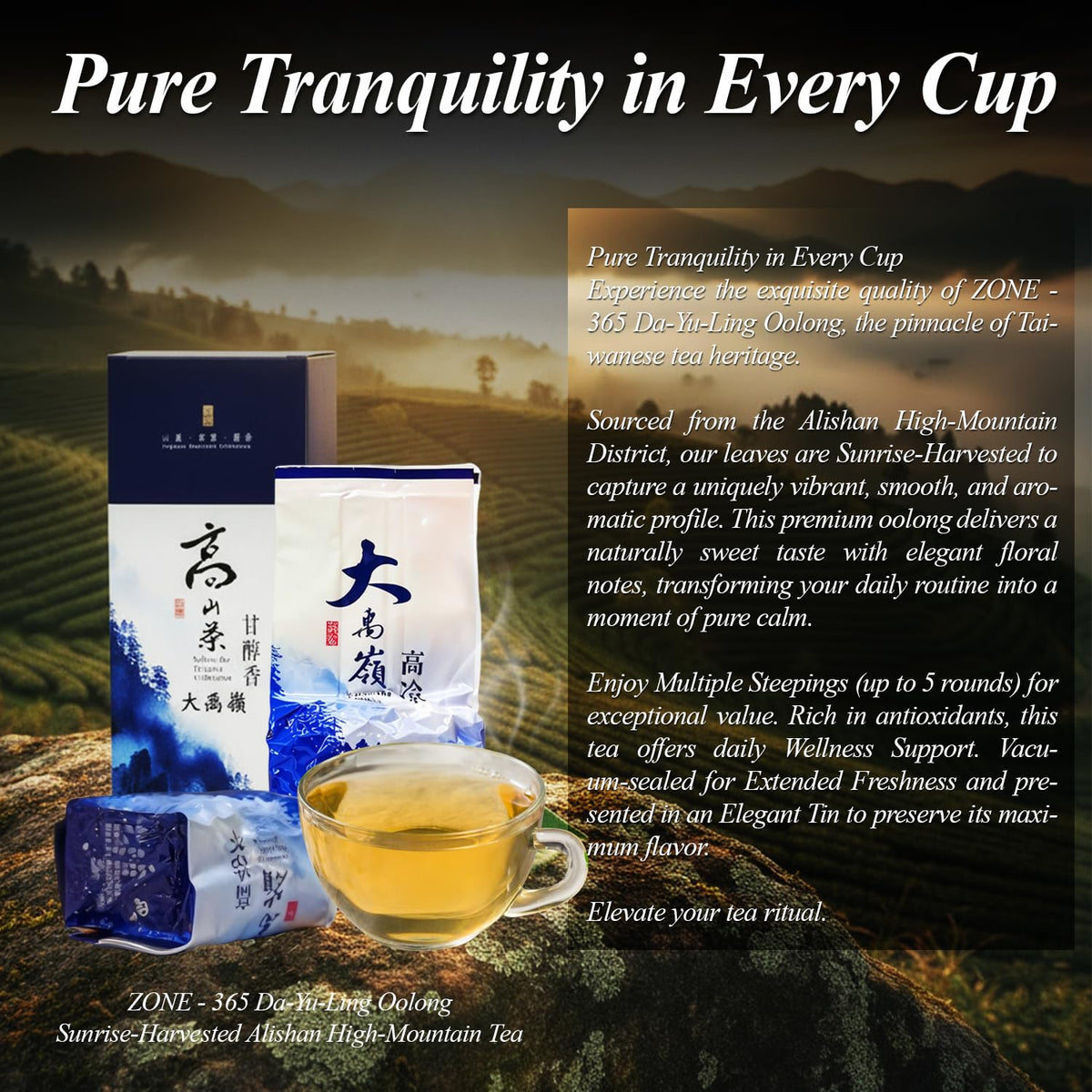 ZONE - 365 Oolong Tea Loose Leaf, Taiwanese Alishan High Mountain Roast