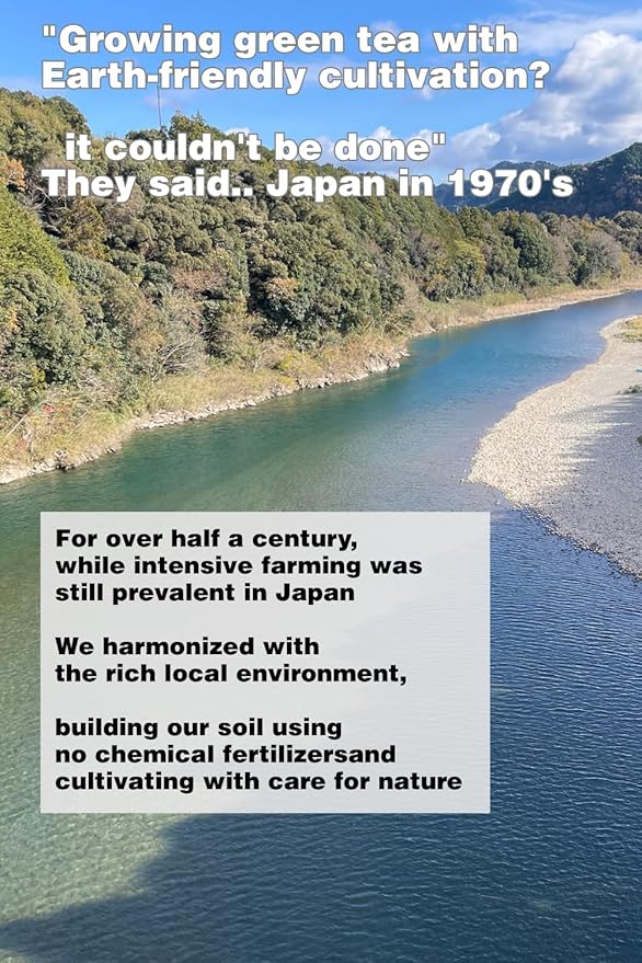 Wasumicha -Hitotsu Japanese Green Sencha Tea hot brew cold brew Biodegradable Teabag 20bags