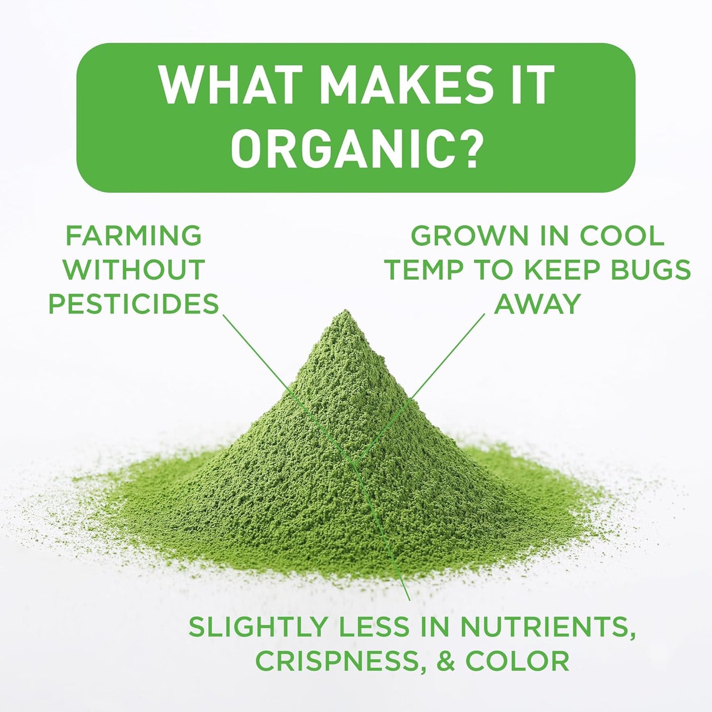 Aiya Certified USDA Organic Culinary Grade Matcha Green Tea Powder - Ideal for Baking, Lattes, Smoothies - Gluten-Free & Non-GMO - 100g Bag (3.52 oz)