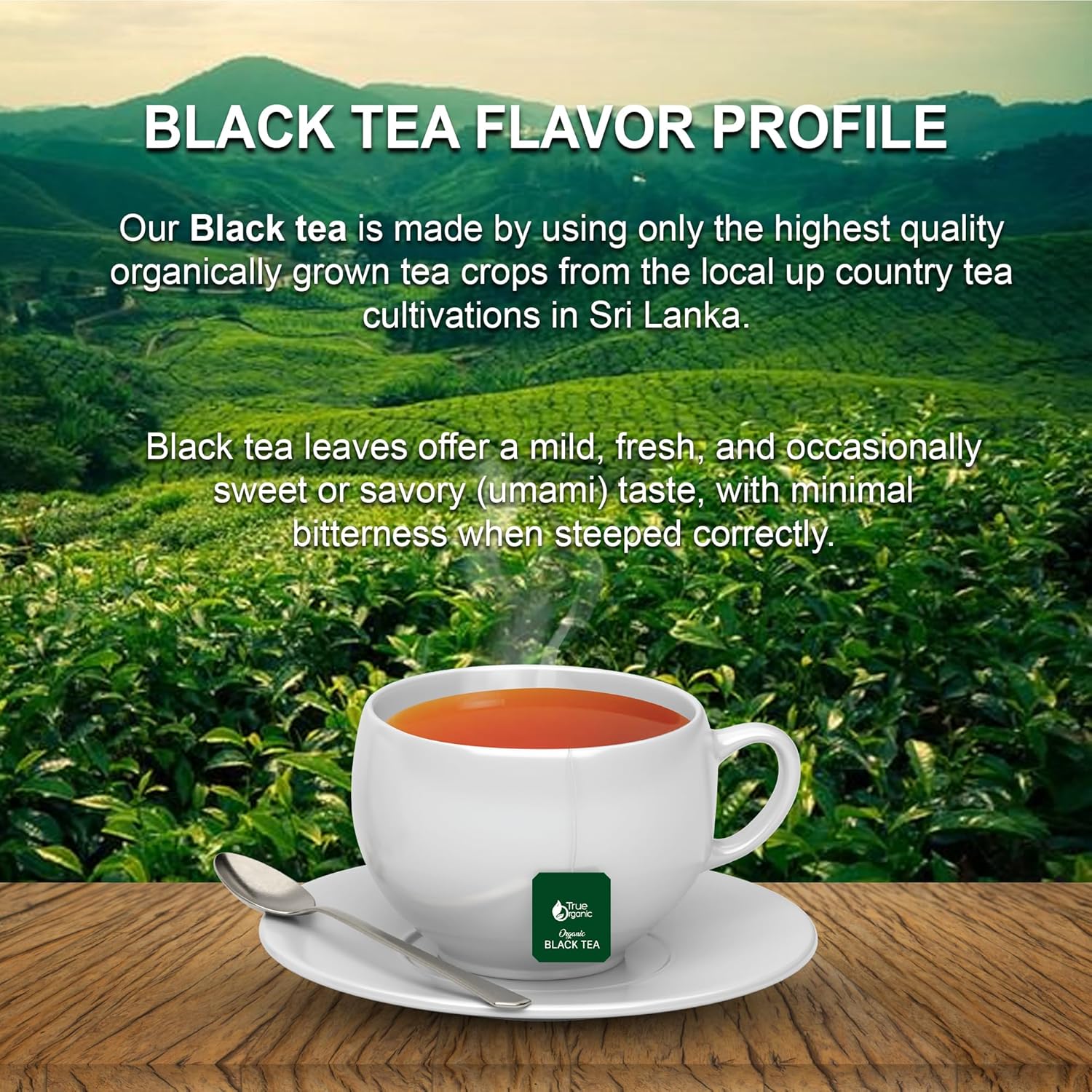 True Organic Premium Ceylon Black Tea |100 Count Tea Bags | USDA Organic & Kosher Certified |100 Envelop Organic Black Tea Bags for Your Home & Cafe.