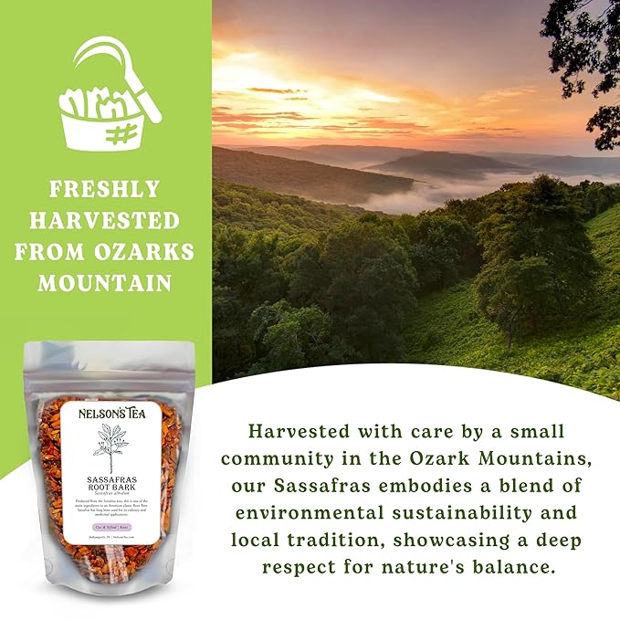 Nelson’s Tea - Sassafras Root Bark Cut & Sifted - Caffeine Free - Classic Root Beer Herbal Blend Tea, Premium Sassafras Albidum Aroma for Brewing, Mixing & Wellness, Freshly Packed Resealable Bag -2oz